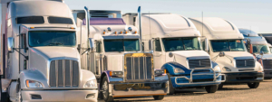 A row of trucks representing the availability of trucks to Stevens West.